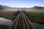 Rail Line With Mist Forgotten World Taumarunui